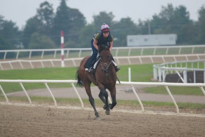 Fairhill Training Center0016.JPG