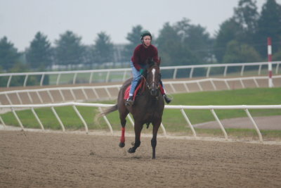 Fairhill Training Center0017.JPG