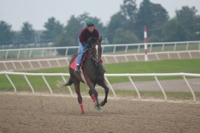 Fairhill Training Center0018.JPG