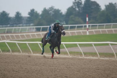 Fairhill Training Center0020.JPG