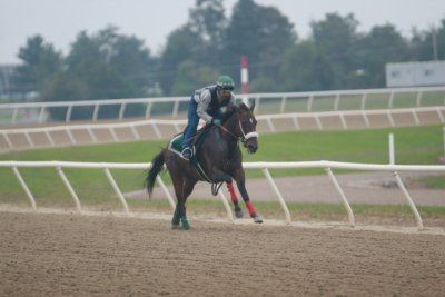 Fairhill Training Center0021.JPG