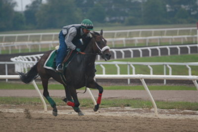 Fairhill Training Center0023.JPG