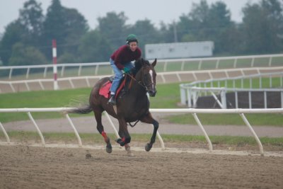 Fairhill Training Center0025.JPG