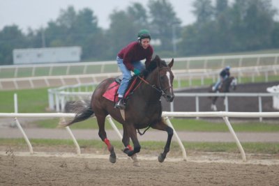 Fairhill Training Center0026.JPG
