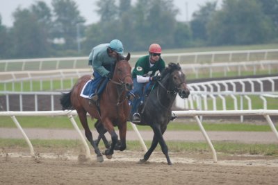 Fairhill Training Center0028.JPG