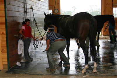Fairhill Training Center0030.JPG