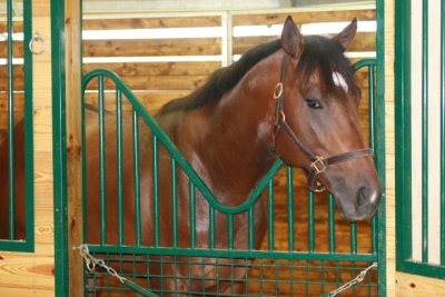 Fairhill Training Center0035.JPG
