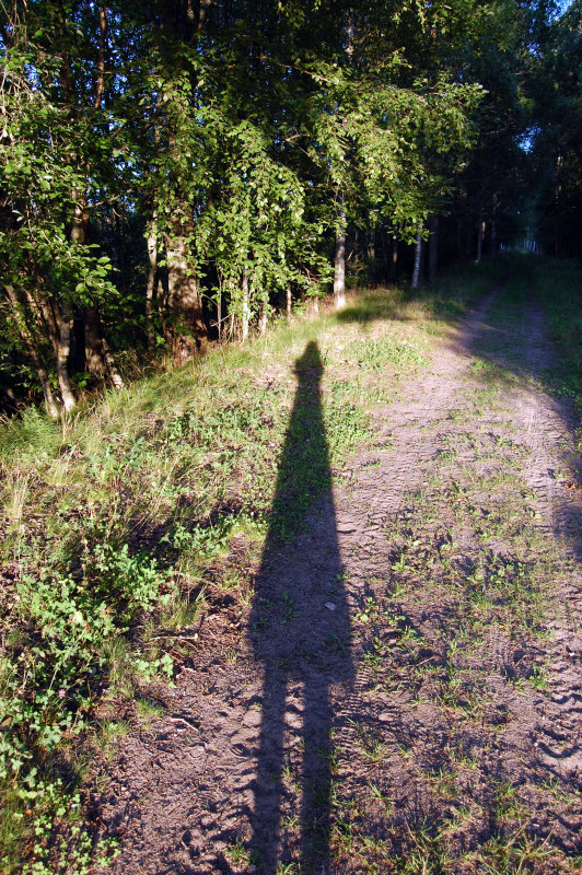 Im just a shadow
