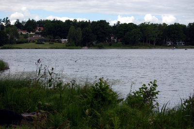 tvidaberg