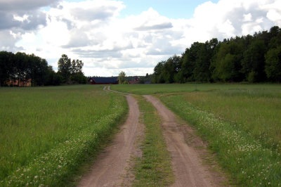 tvidaberg