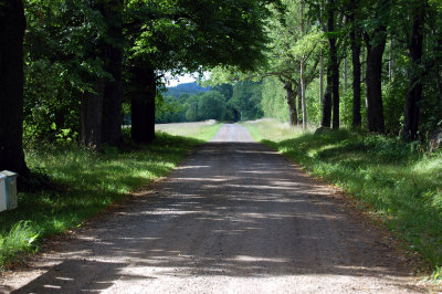 tvidaberg