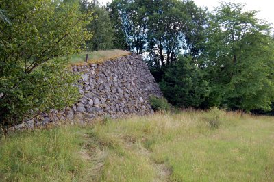 tvidaberg