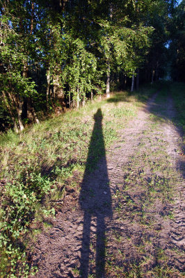 Im just a shadow