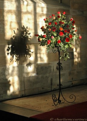 Roses are red_DSC_1037.jpg