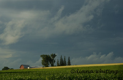 Fingerlakes Farm