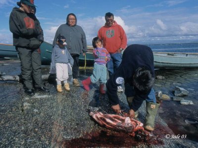 115nunavikc216-94.jpg