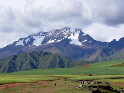 A local sheperd with his herd in front of a glacial mountain