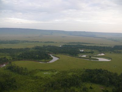 The Mara River