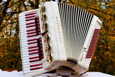 More Accordions