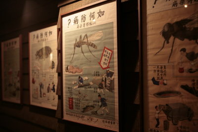 _MG_4075.JPG