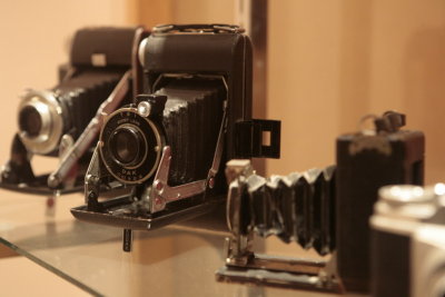 _MG_4095.JPG