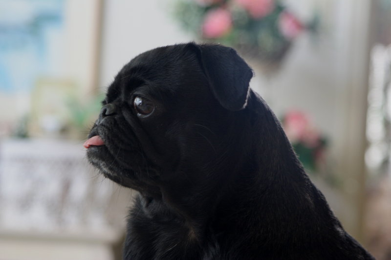 Now I am beautiful!