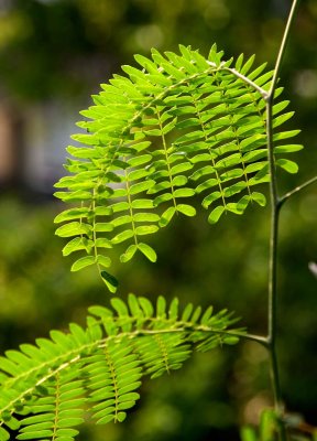 _MG_4748.jpg