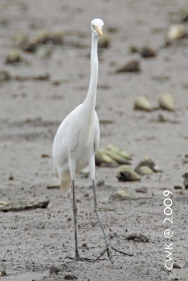 IMG_9670.jpg