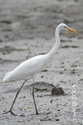 IMG_9685.jpg