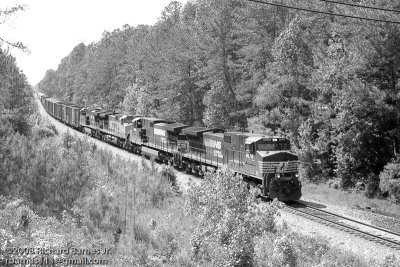 g5/41/353541/3/98999256.Awf3X6km.jpg
