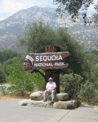 sequoia2.jpg