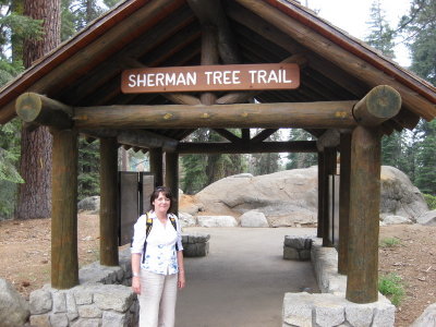 sequoia2_01.JPG