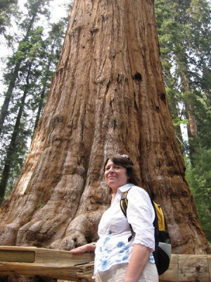 sequoia2_10.JPG