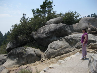 sequoia5_6.JPG