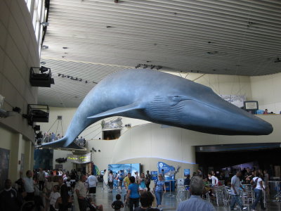 aquarium