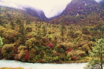 autumn colours