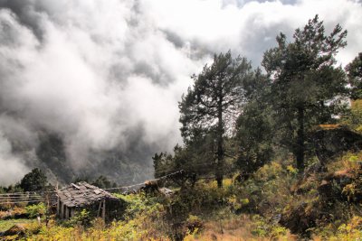 above the clouds