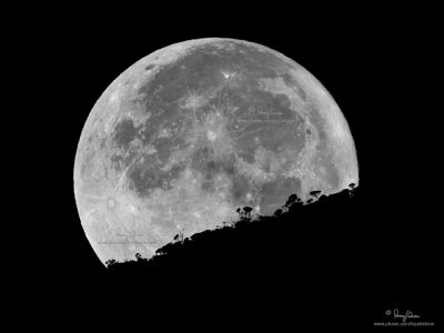 [Elev. 1595 m ASL, MT. POLIS, BANAUE, IFUGAO, 40D + 500 f4 IS + Canon 1.4x TC, bean bag, converted to B&W]
