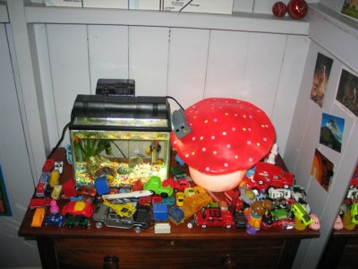 IMG_1748.jpg