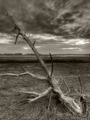 2009-10-24_0056_57_58_59_60_61_62-hdr-2-3.jpg