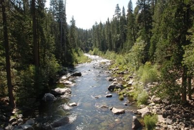 Calaveras Big Trees State Park