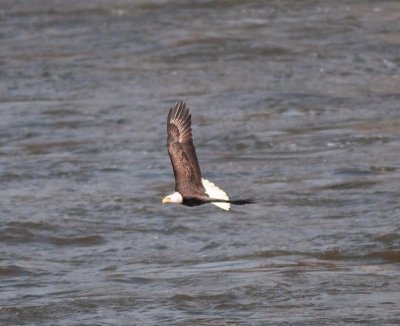 g5/41/697741/3/119132912.CmH2oxc8.jpg