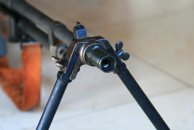 DPP_4059.JPG