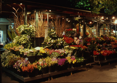 Flower Shop 1.jpg