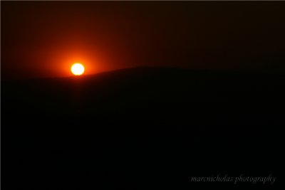 orange ball