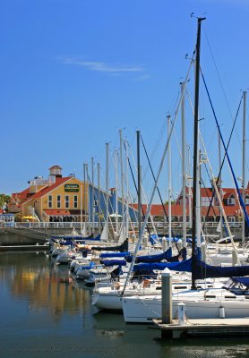 masts