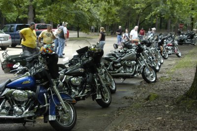 DSC_0766.JPG