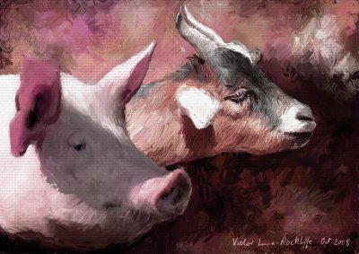 Pink version with canvas texture