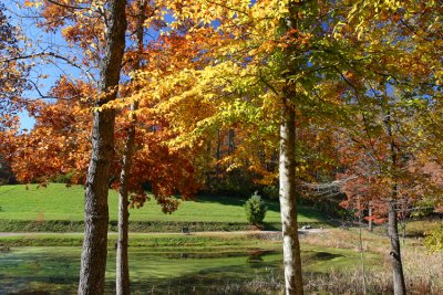 Vanover Pond