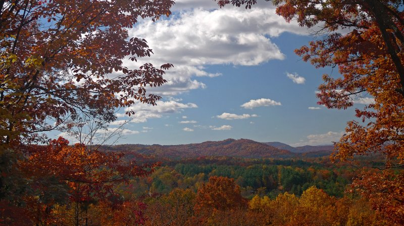 ANOTHER VIEW FROM OUR DECK - ISO 80